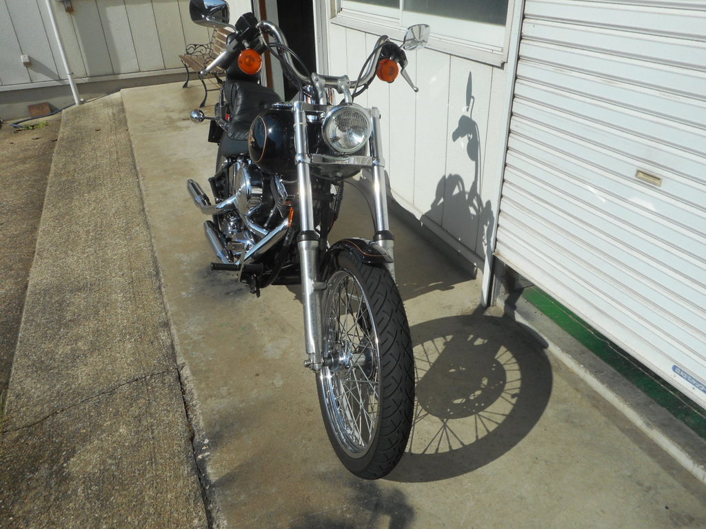 HARLEYDAVIDSON FXSTC ソフテイルカスタム|Harley-Davidson HARLEYDAVIDSON FXSTC ソフテイルカスタム|Harley-Davidson